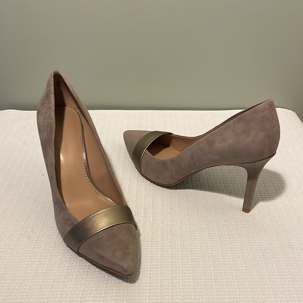 Taupe Suede Pointed-Toe Pumps with Gold Accent - Women's